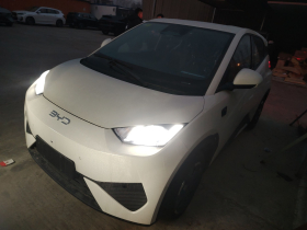 比亚迪 海鸥 2025款 305km 活力版