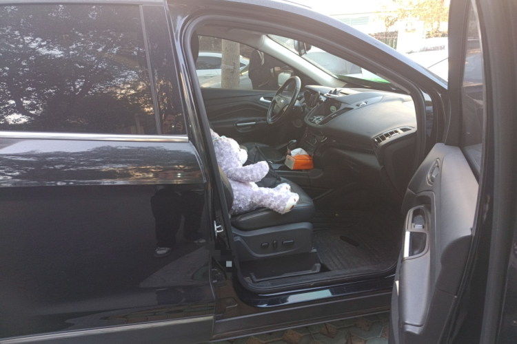 福特 翼虎 2018款 改款 EcoBoost 245 四驱运动型局部细节9005