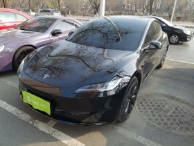 特斯拉 Model 3 2023款 后轮驱动版