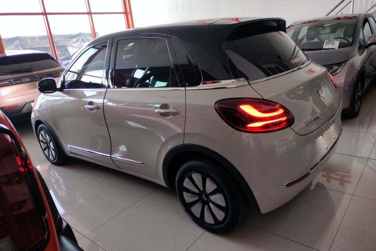 五菱汽车 五菱缤果 2023款 410km 灵犀尊享款车身外观4