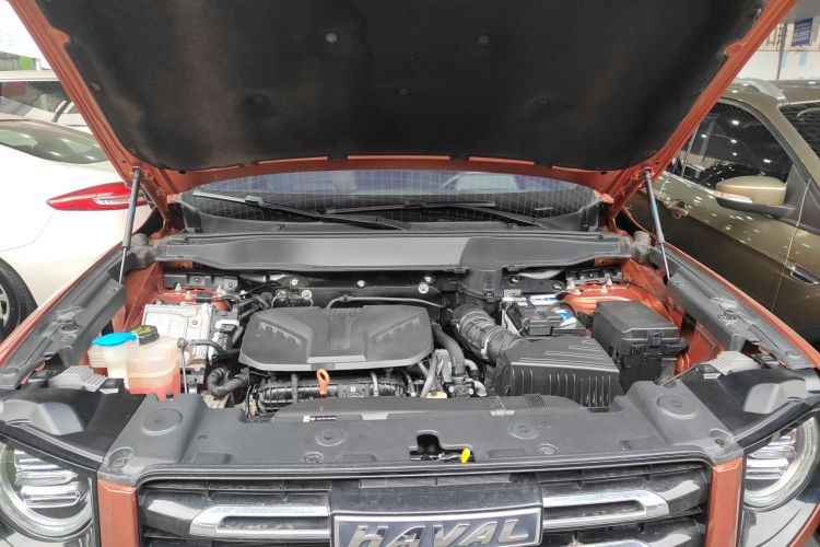 哈弗大狗 2021款 2.0T DCT四驱中华田园犬版机舱底盘24