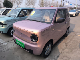 吉利银河 2024款 熊猫mini 200km 耐力熊