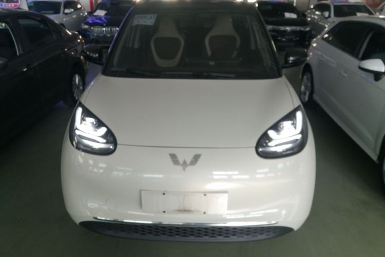 五菱汽车 五菱缤果 2024款 333km 悦享款车身外观6001