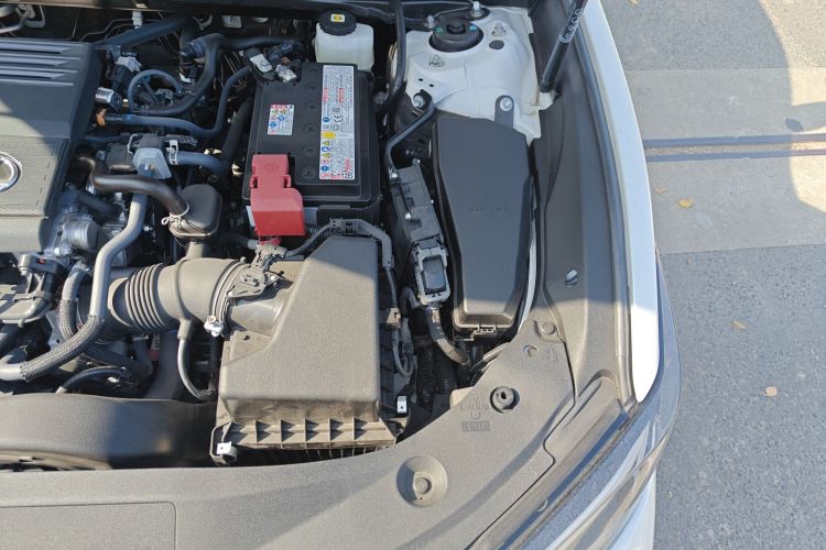 雷克萨斯ES 2025款 200 臻享版局部细节9007