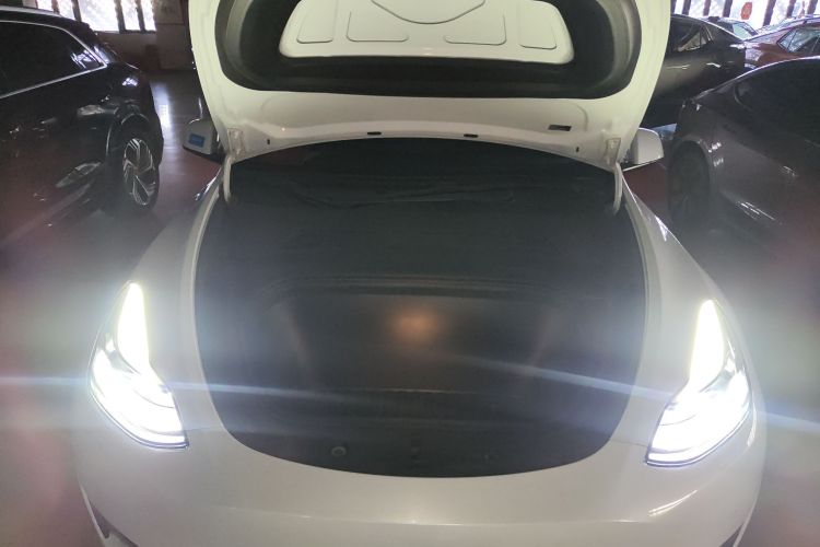 特斯拉 Model Y 2021款 长续航全轮驱动版局部细节24