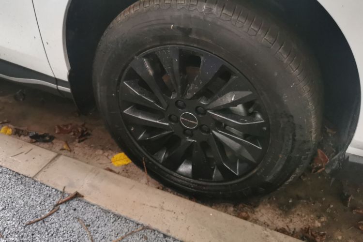 东风风行 风行T5 EVO 2024款 1.5TD DCT星空版车身外观10