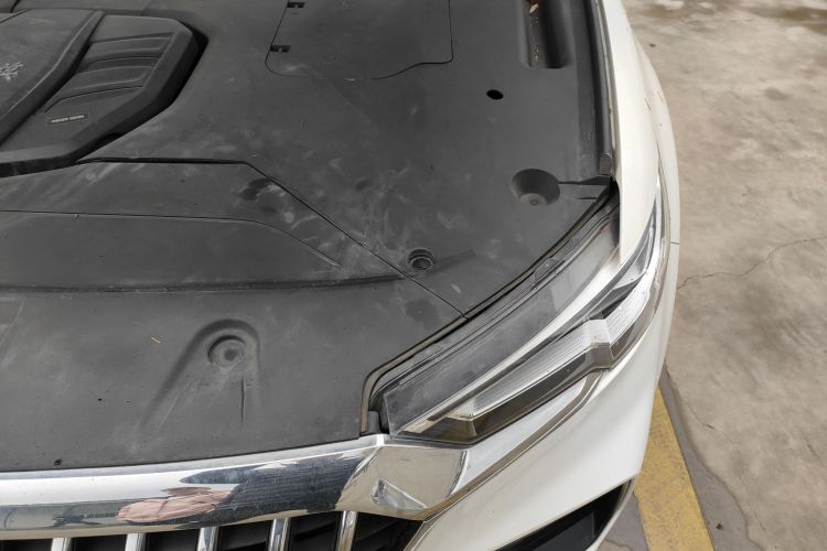 红旗HS5 2019款 2.0T 智联旗享版局部细节9006