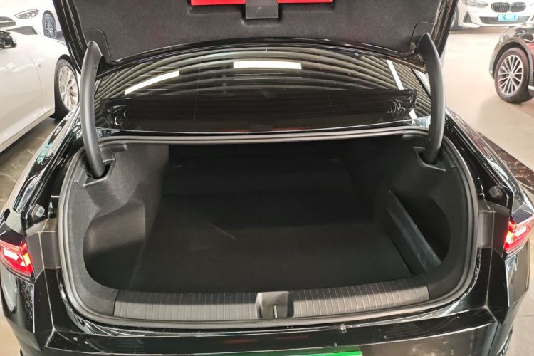 大众 迈腾 2024款  300TSI DSG尊享版显眼包机舱底盘23