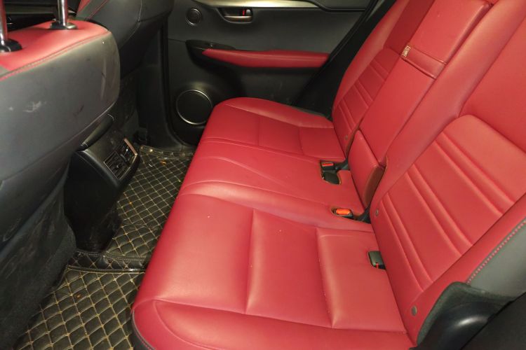 雷克萨斯NX 2020款 200 全驱 锋尚版 国VI中控内饰21