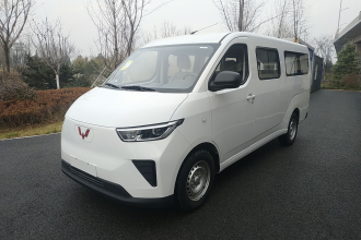 五菱汽车 五菱扬光 2024款 300KM 舒适型客车版 75kW