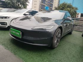 特斯拉 Model 3 2023款 后轮驱动版
