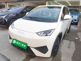 比亚迪 海鸥 2025款 智驾版 305km 活力版