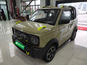 吉利银河 2024款 200km 熊猫骑士