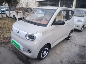 五菱汽车 宏光MINIEV 2024款 第三代 215km 青春版