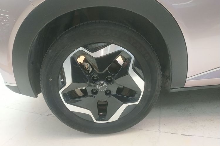 比亚迪 海豚 2021款 405km 时尚版车身外观6008