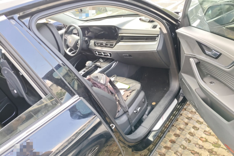 红旗HS5 2023款 2.0T 旗享Pro版局部细节9005