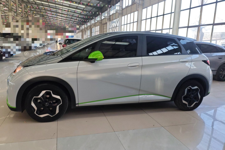 比亚迪 海豚 2021款 405km 时尚版车身外观6003