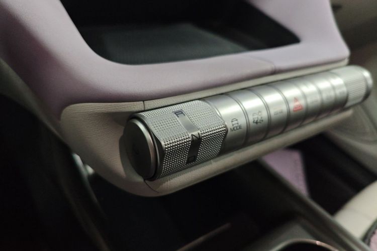 比亚迪 海豚 2021款 401km 骑士版局部细节18