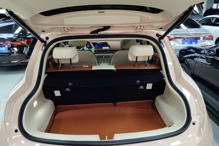 欧拉好猫 2023款 401km标准续航 尊荣型 磷酸铁锂局部细节23