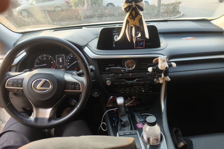 雷克萨斯RX 2020款 300 两驱精英版 国VI中控内饰12