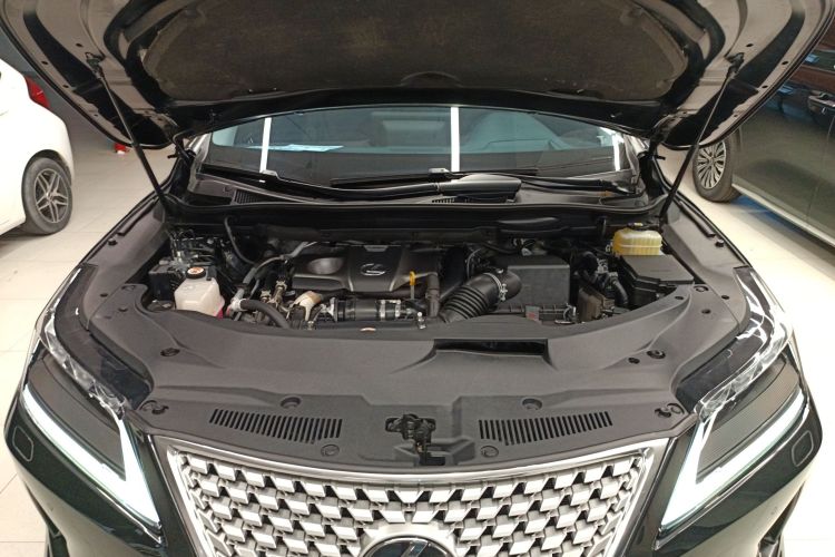 雷克萨斯RX 2021款 300 四驱特别版机舱底盘24