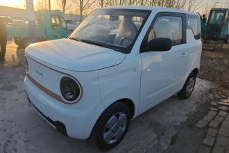吉利银河 2024款 熊猫mini 200km 耐力熊