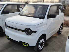 吉利银河 熊猫 2025款 210km 元气熊