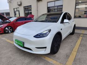 特斯拉 Model Y 2023款 后轮驱动版