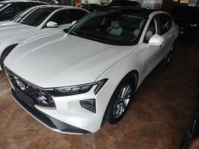 福特 EVOS 2022款 EcoBoost 245 风尚版