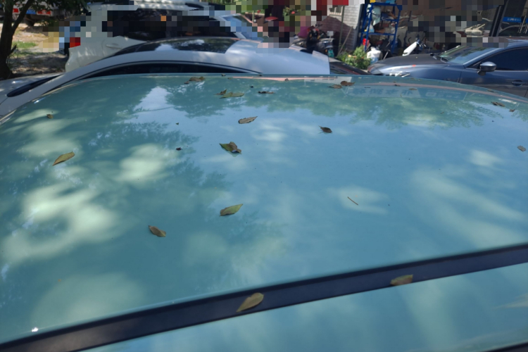 长安Lumin 2022款 210km 香甜款局部细节57