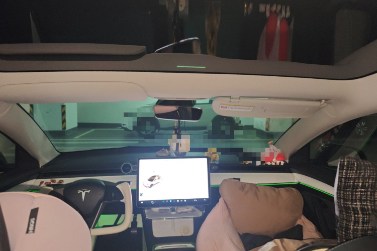 特斯拉 Model 3 2021款 标准续航后驱升级版 3D6局部细节22