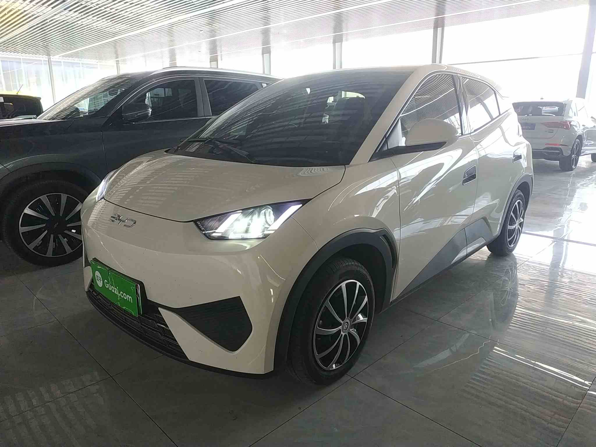 比亚迪 海鸥 2025款 智驾版 305km 活力版(2)