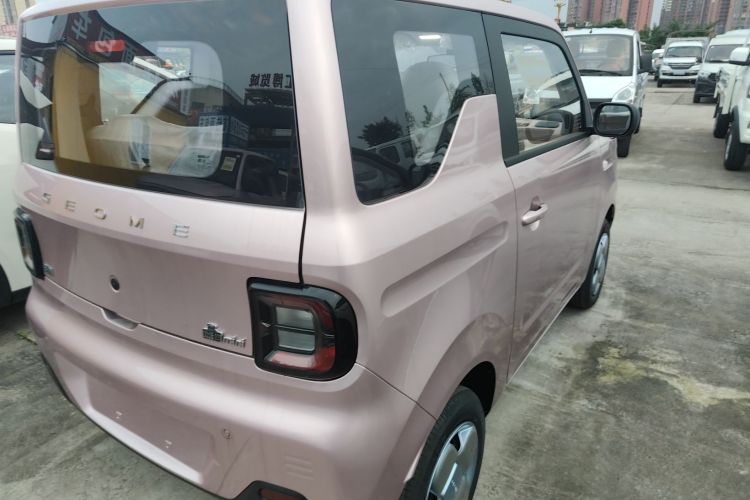 吉利银河 2024款 熊猫mini 200km 耐力熊车身外观6005