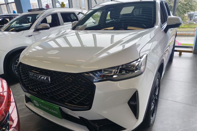 哈弗H6 2021款 第三代 2.0T 自动两驱Max车身外观2