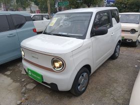 吉利银河 2024款 熊猫mini 200km 耐力熊