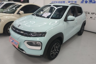 东风纳米 纳米BOX 2022款 追风版 331KM 标准型