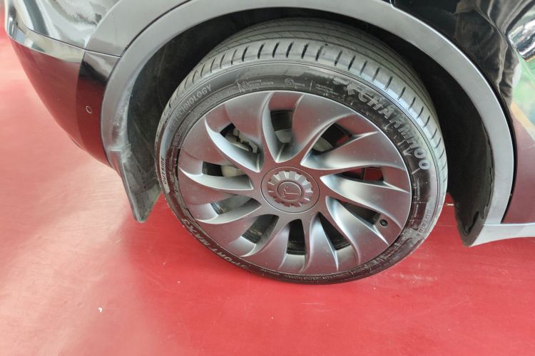 特斯拉 Model Y 2021款 标准续航后驱版车身外观6008