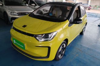 思皓 2022款 花仙子款 四叶草