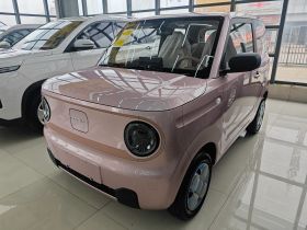吉利银河 2024款 熊猫mini 200km 耐力熊