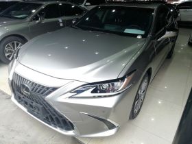 雷克萨斯ES 2021款 260 卓越版