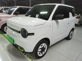 吉利银河 熊猫 2025款 210km 元气熊