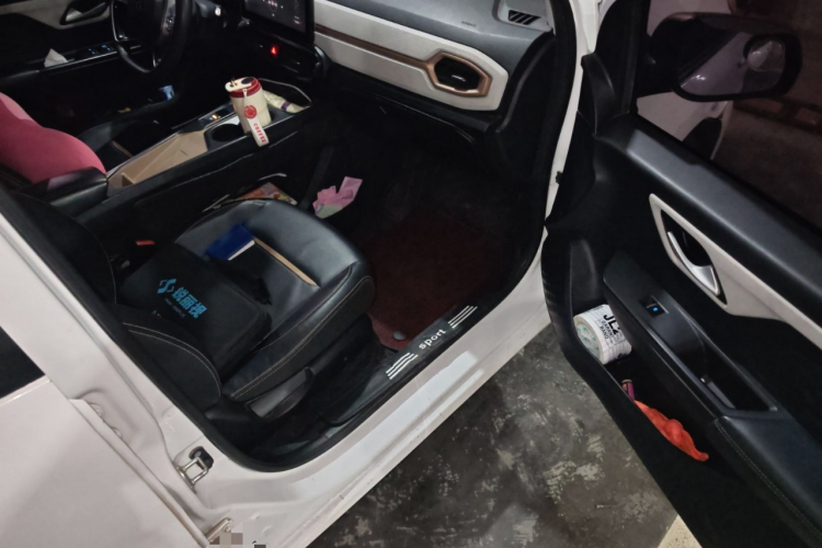 思皓 2022款 花仙子款 四叶草局部细节9005