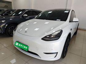 特斯拉 Model Y 2021款 长续航全轮驱动版
