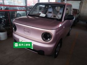 吉利银河 2024款 熊猫mini 200km 耐力熊