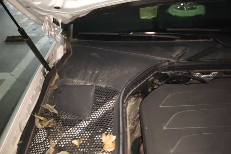 奔驰C级 2019款 改款 C 260 L 运动版局部细节9006