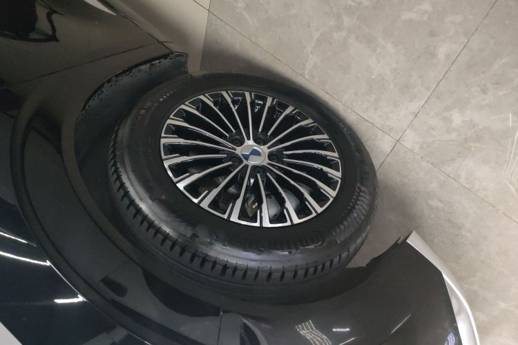 腾势D9 2024款 DM-i 980 四驱尊贵型车身外观6001