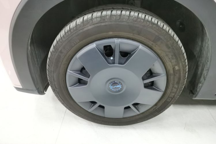 比亚迪 海鸥 2025款 305km 活力版车身外观6007