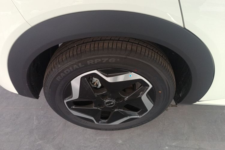 比亚迪 海豚 2025款 420km 时尚版车身外观6008