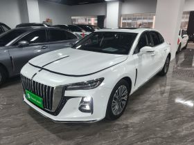 红旗H5 2023款 2.0T 自动智联旗畅版