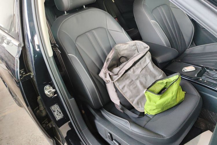 大众 帕萨特 2024款 380TSI 星空豪华版局部细节41